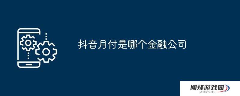 抖音月付是哪个金融公司