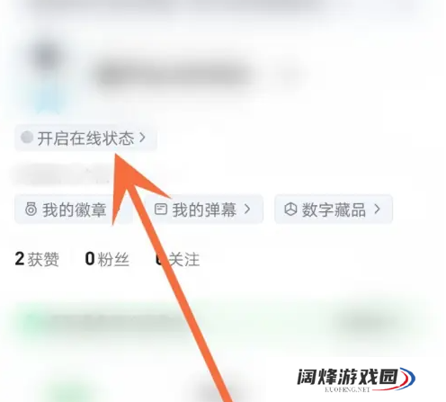 爱奇艺怎么打开在线状态 爱奇艺开启在线状态方法